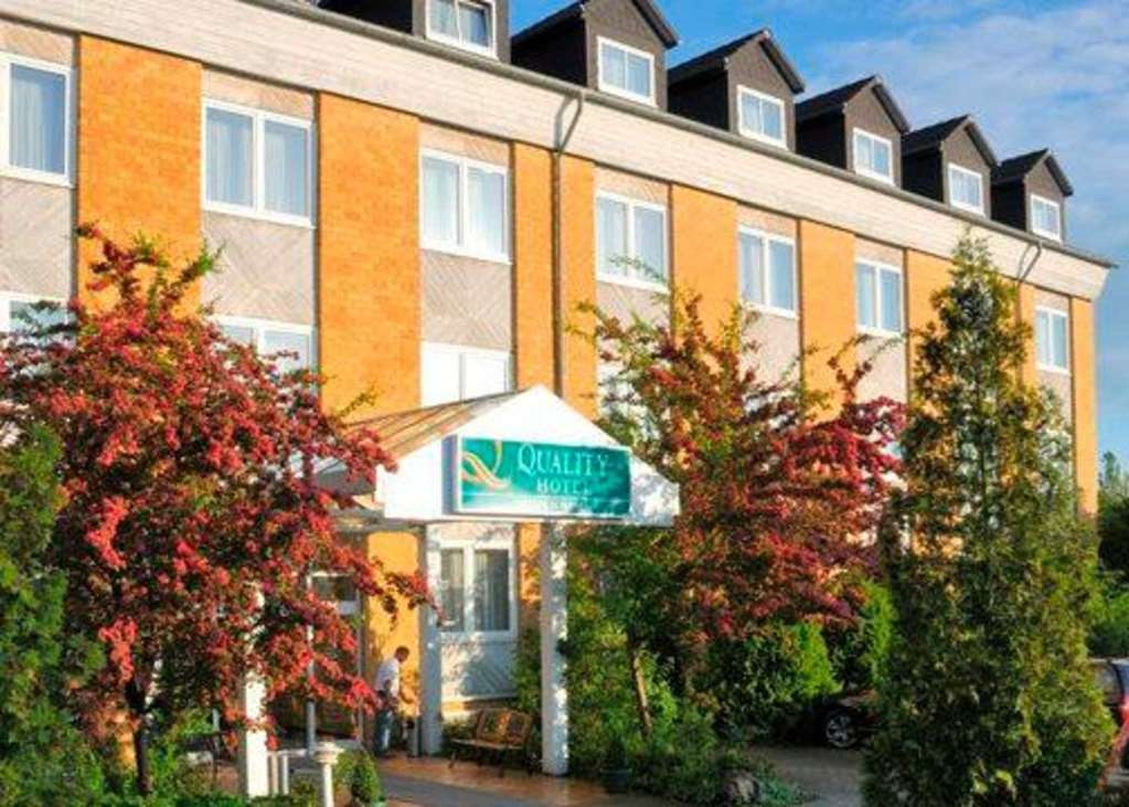 Quick Hotel Dresden West 케셀도르프 외부 사진